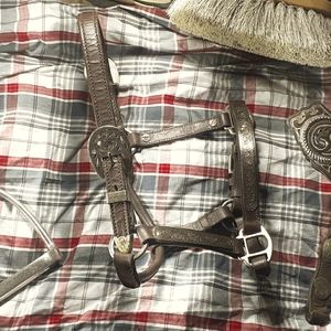 Billy Royal® Silver Plate Fitted II Show Halter